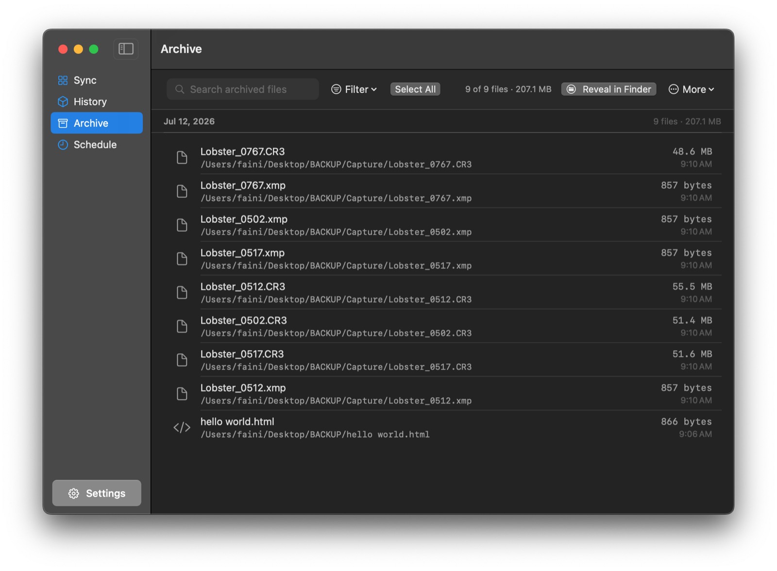 Archive browser for recovering removed files